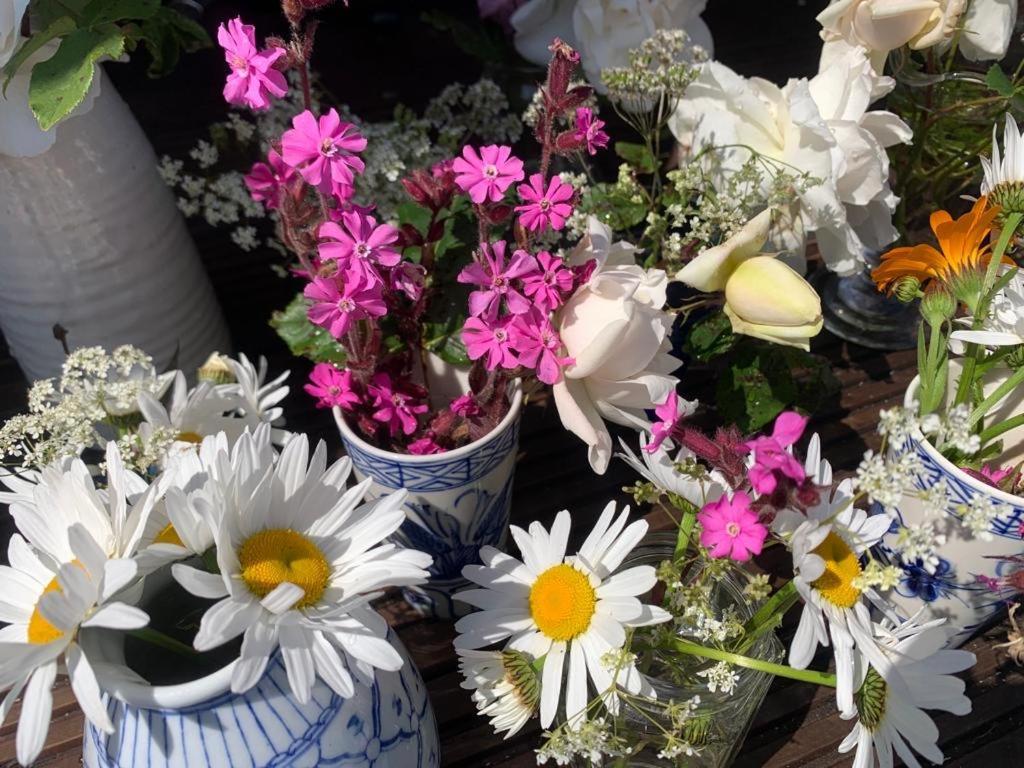 ホテル Ashcroft Glamping Dereham エクステリア 写真